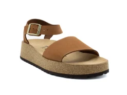 PAPILLIO Glenda Narrow