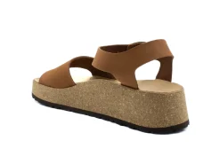 PAPILLIO Glenda Narrow