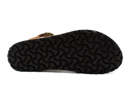 PAPILLIO Glenda Narrow