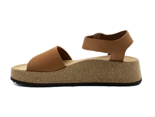 PAPILLIO Glenda Narrow