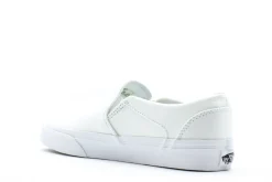 Vans Asher