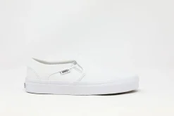Vans Asher