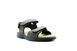 Clarks Hapsford Creek