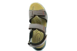 Clarks Hapsford Creek