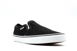 Vans Asher