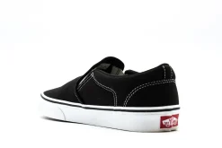 Vans Asher