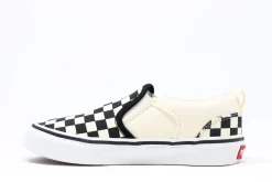 Vans Asher